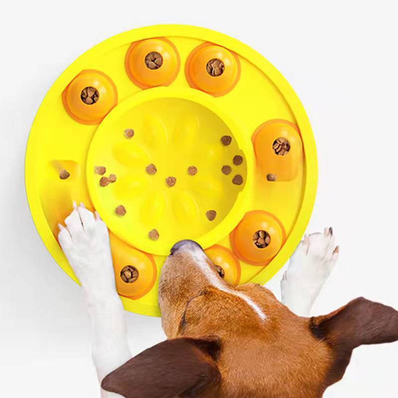 Interactive Slow Puzzle Feeder