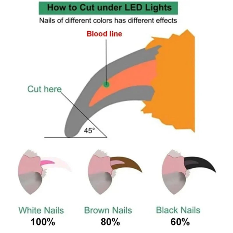 Professional Pet Nail Clippers with LED Light