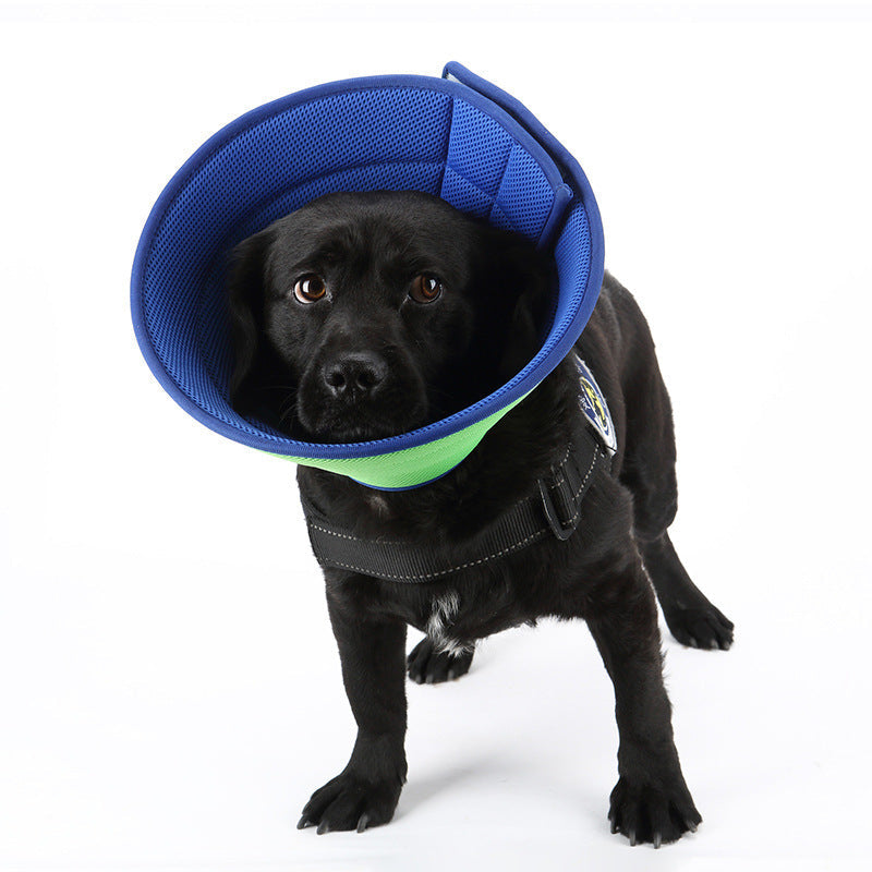 Dog Cat Anti-Bite & Medical Recovery  Protection Cover