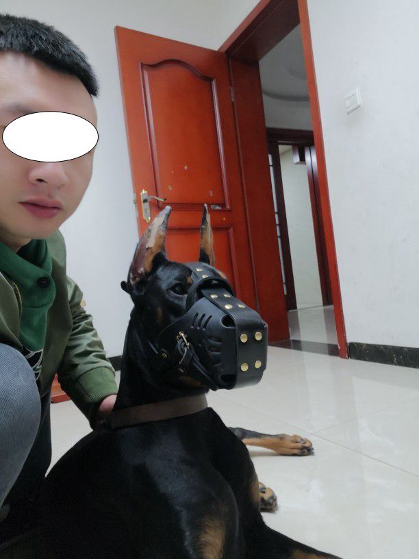 Dog Muzzle Medium - Large