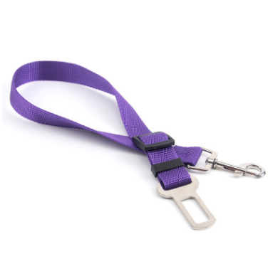 Fixed Dog Strap & Leash