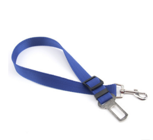 Fixed Dog Strap & Leash