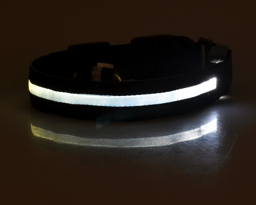 "Light Up the Night: Nylon LED Pet Collar for Purrfect Safety and Style!"