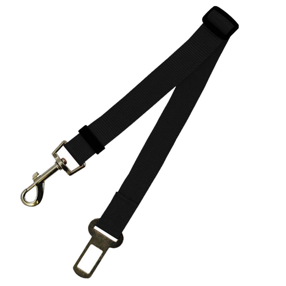 Fixed Dog Strap & Leash