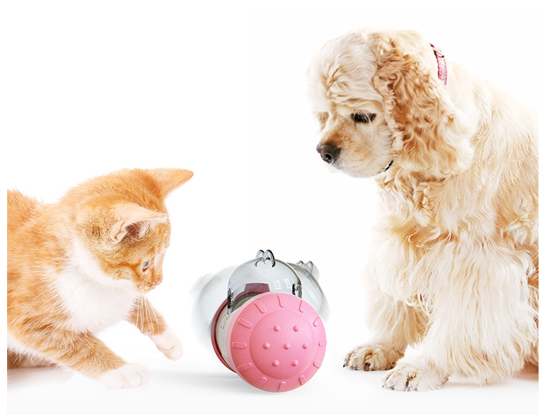 Funny Dog Treat Leaking Toy with Interactive Wheel
