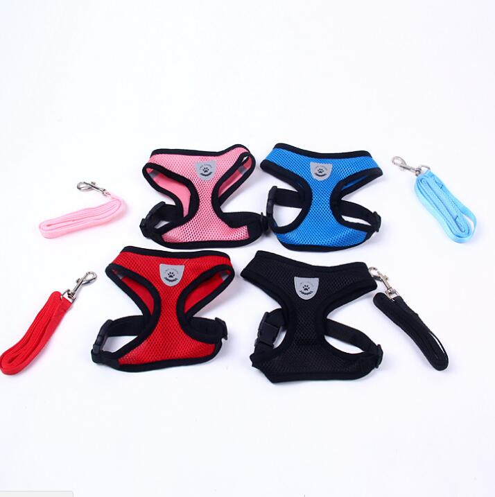 Luxury Pet's Safety Car Seat Carrier  with Premium Harness & Leash set