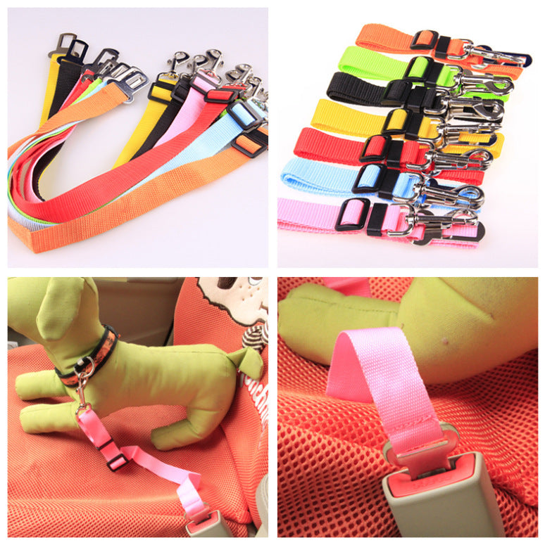 Fixed Dog Strap & Leash