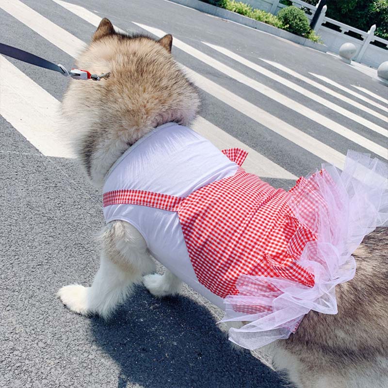 Dog Princess Costume for Labrador & Golden Retriever