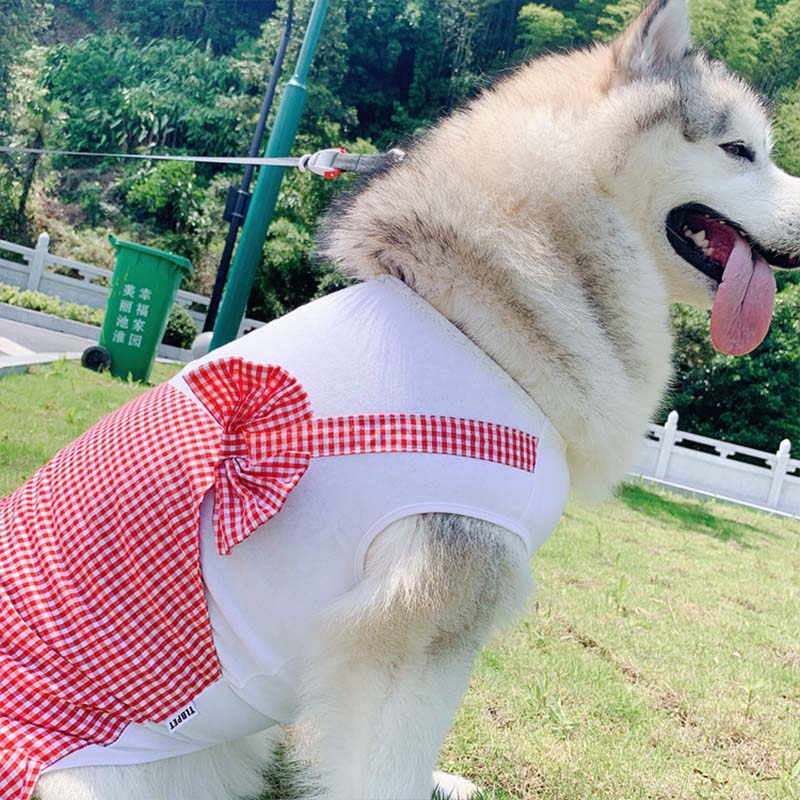 Dog Princess Costume for Labrador & Golden Retriever