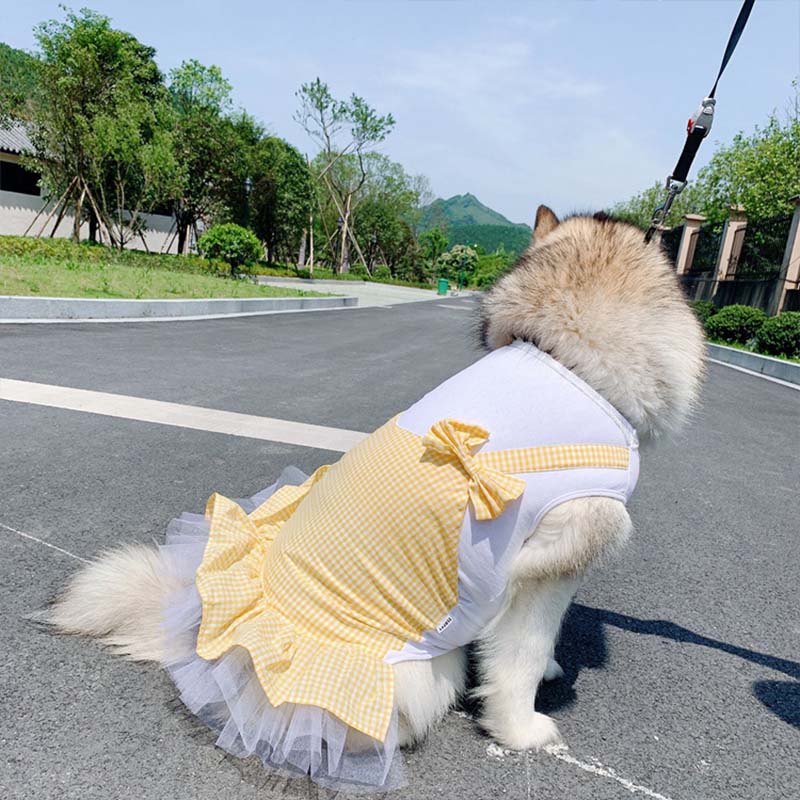 Dog Princess Costume for Labrador & Golden Retriever