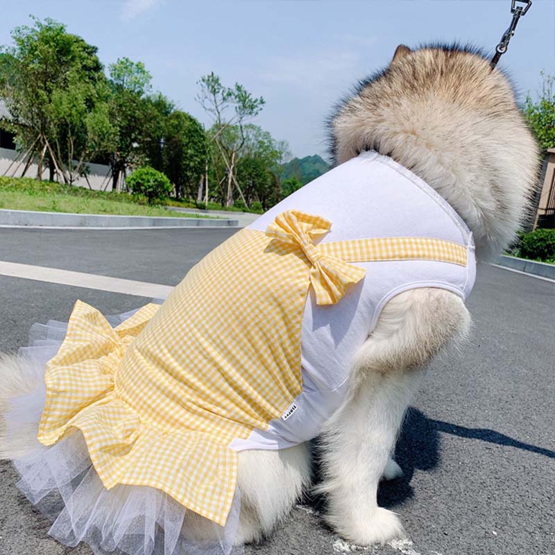 Dog Princess Costume for Labrador & Golden Retriever