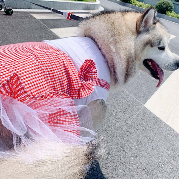 Dog Princess Costume for Labrador & Golden Retriever