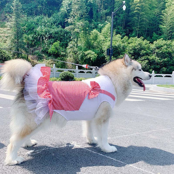 Dog Princess Costume for Labrador & Golden Retriever