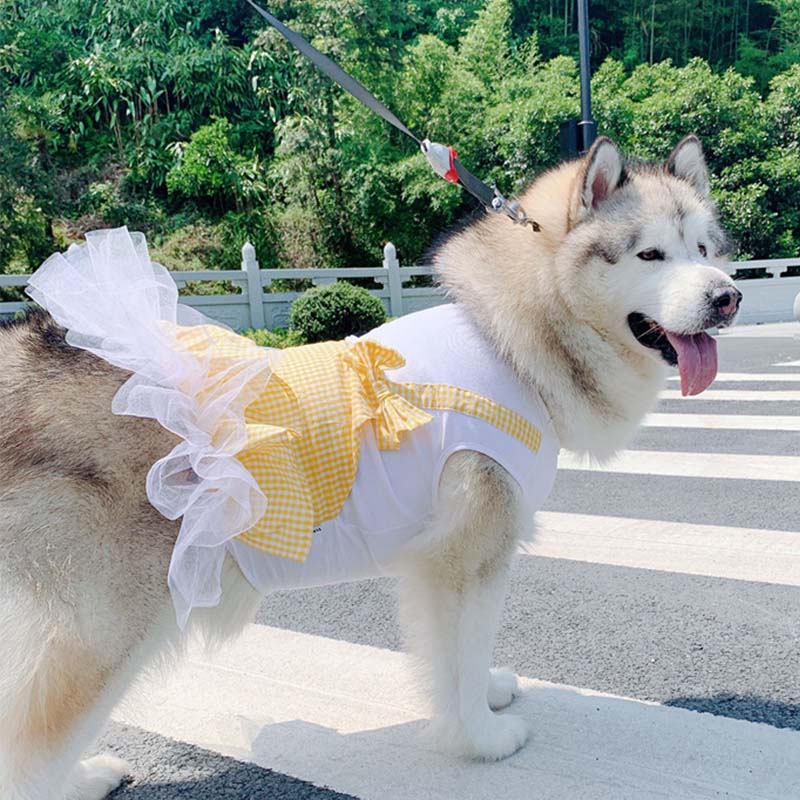 Dog Princess Costume for Labrador & Golden Retriever
