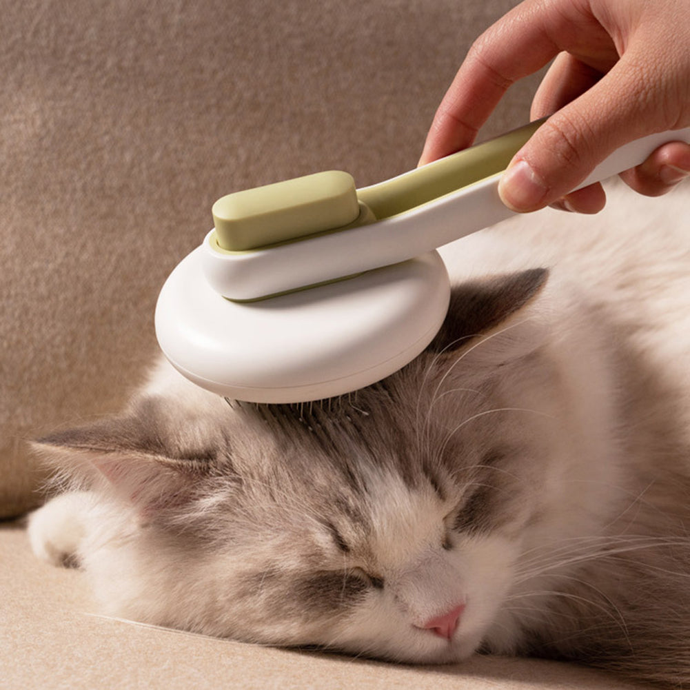 Pet Dog Hair Remover and Cat Brush