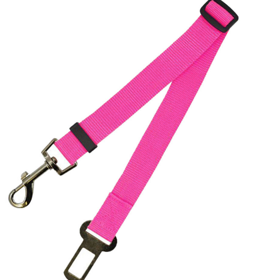 Fixed Dog Strap & Leash