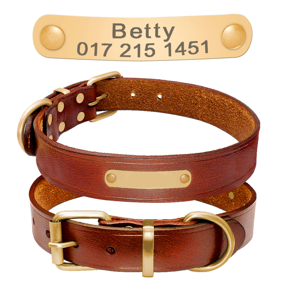 Customized Dog Collar
