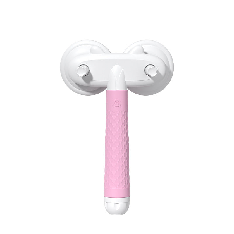 Pet Cat Brush and Dog Slicker Brush with Double-headed Negative Ion Technology