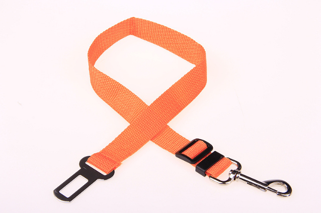Fixed Dog Strap & Leash