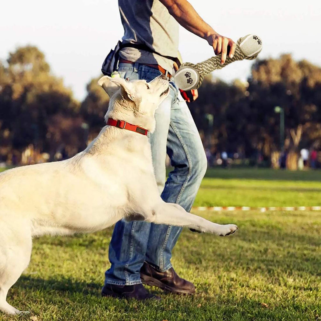 "Interactive Cotton Rope Toys for Small-Large Dogs