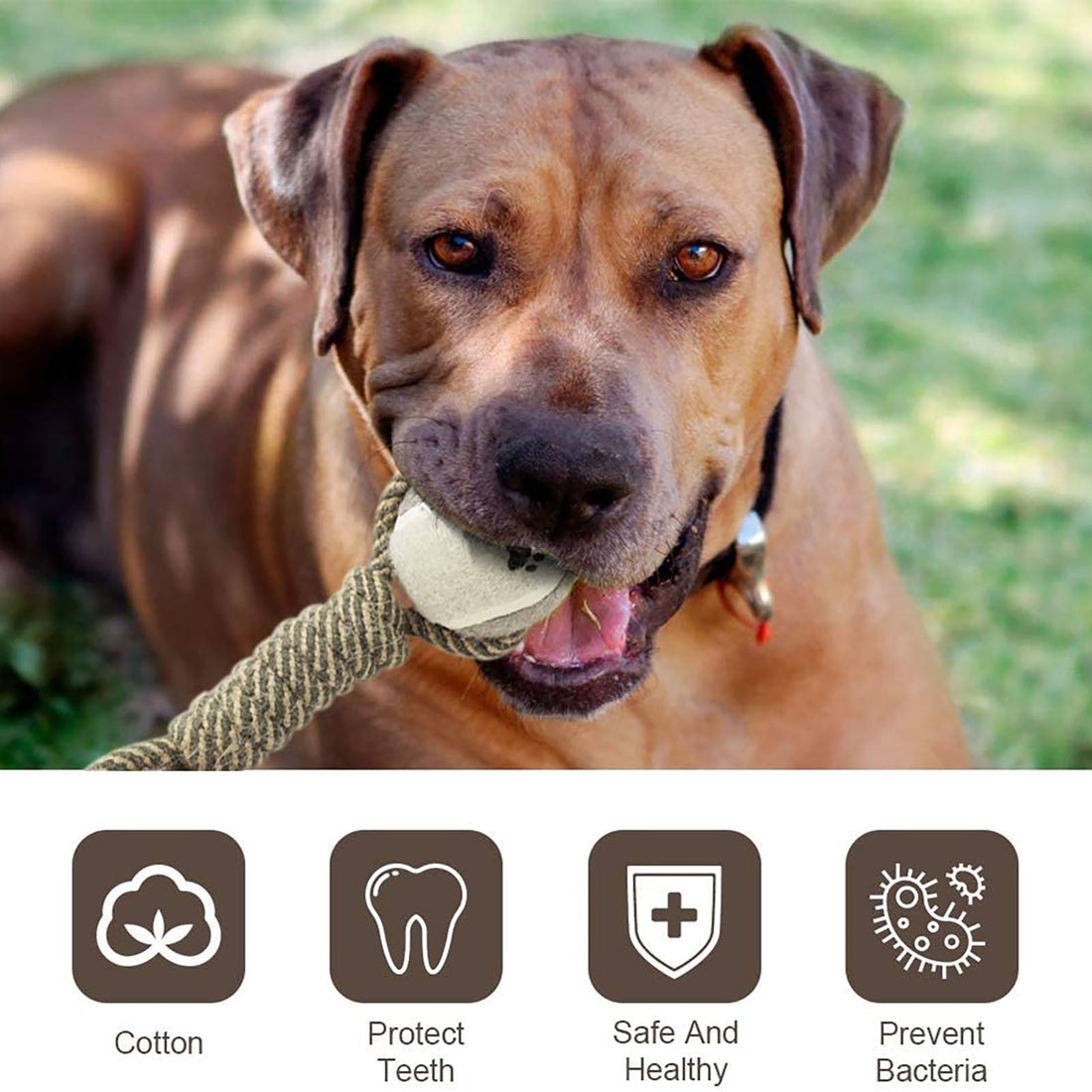 "Interactive Cotton Rope Toys for Small-Large Dogs