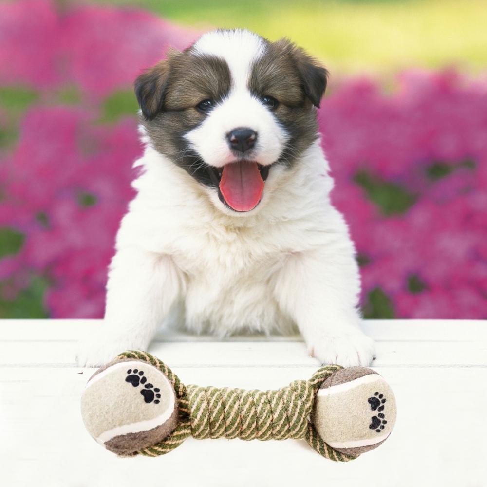 "Interactive Cotton Rope Toys for Small-Large Dogs
