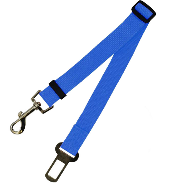 Fixed Dog Strap & Leash