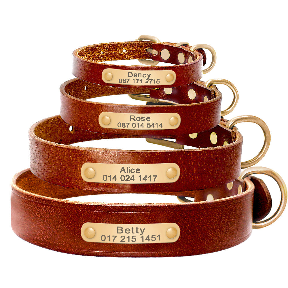 Customized Dog Collar