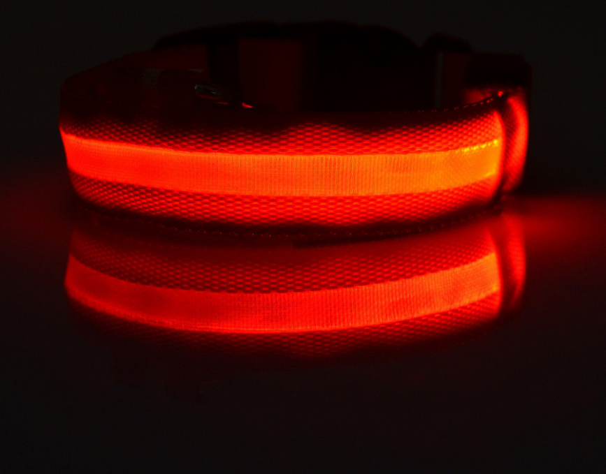 "Light Up the Night: Nylon LED Pet Collar for Purrfect Safety and Style!"