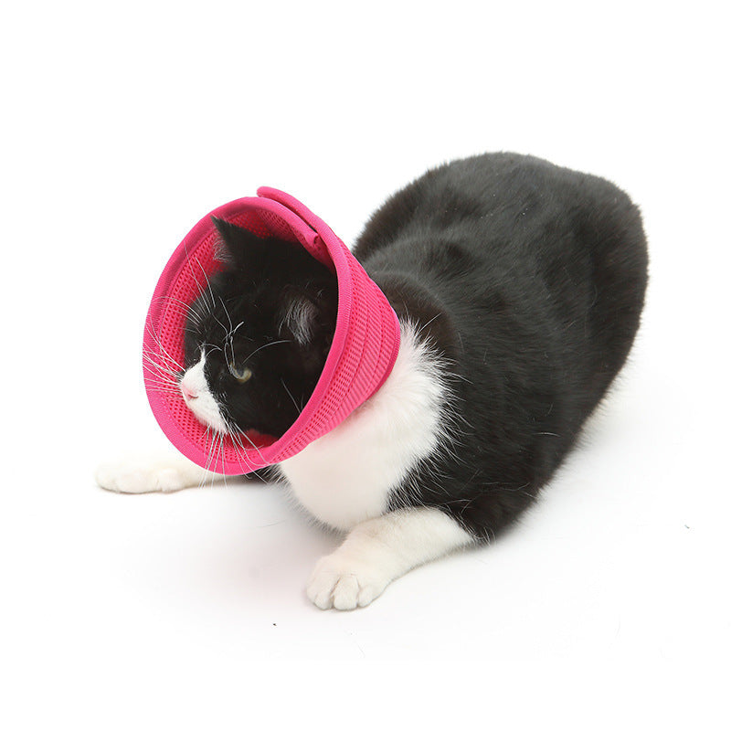 Dog Cat Anti-Bite & Medical Recovery  Protection Cover