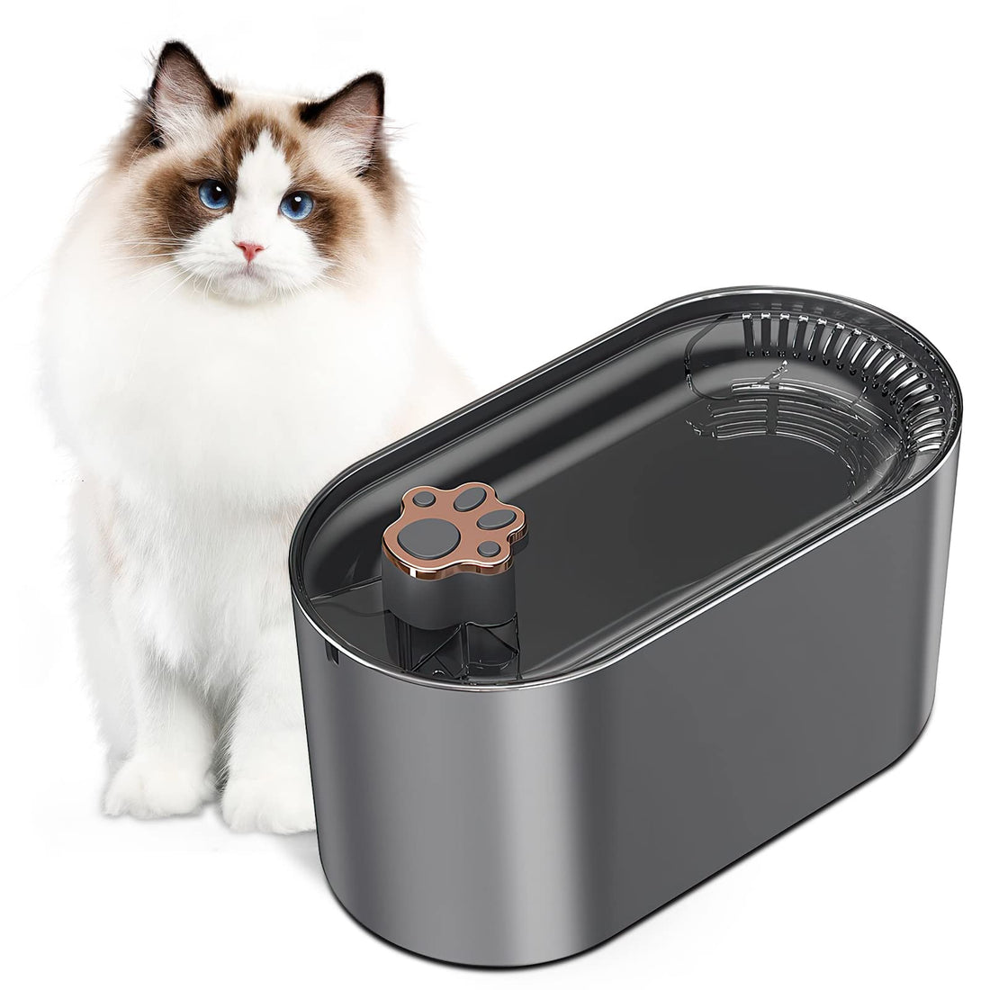 3L Cat Water Fountain Filter with Automatic Drinker