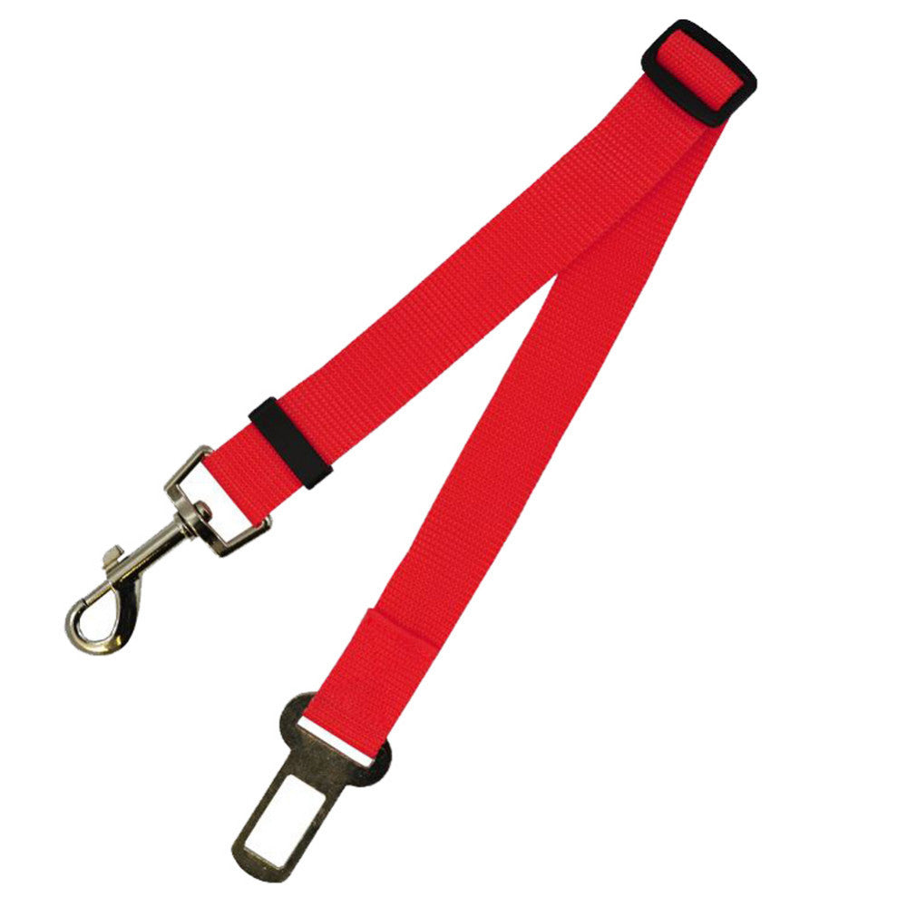 Fixed Dog Strap & Leash