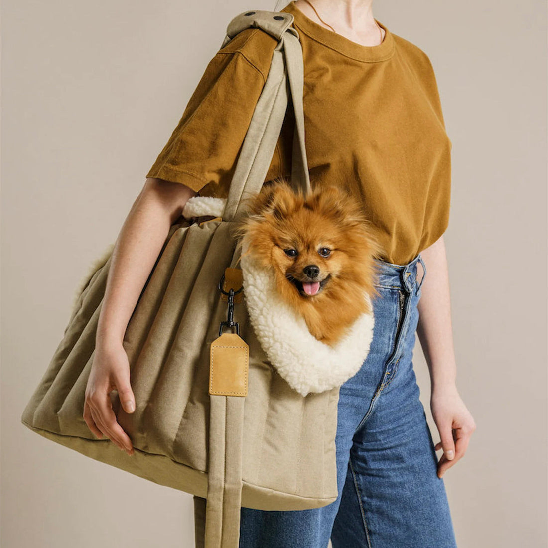 Pet Dog & Cat Portable Fashionable Carrier