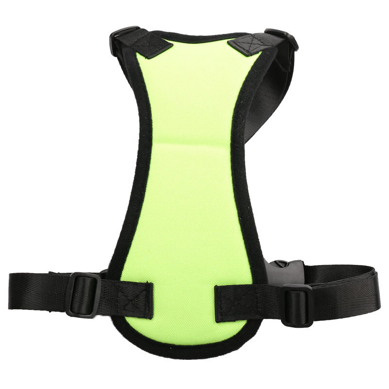 Car Seat Belts for Pets
