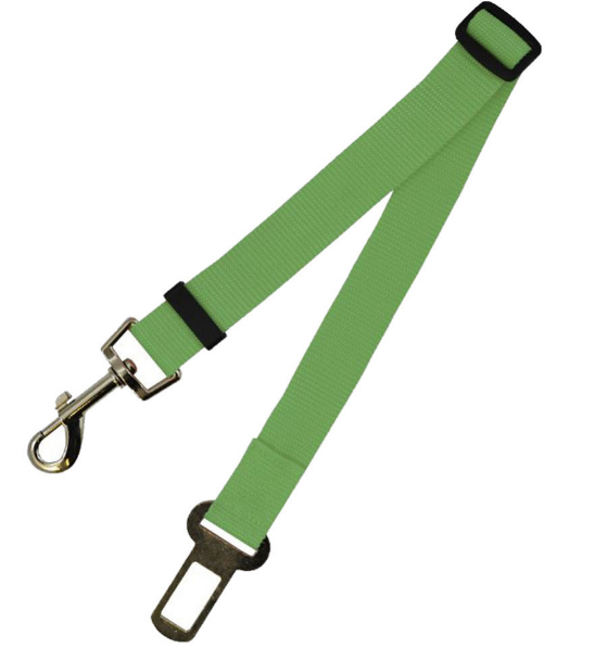 Fixed Dog Strap & Leash