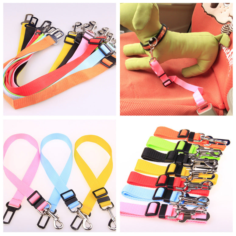 Fixed Dog Strap & Leash