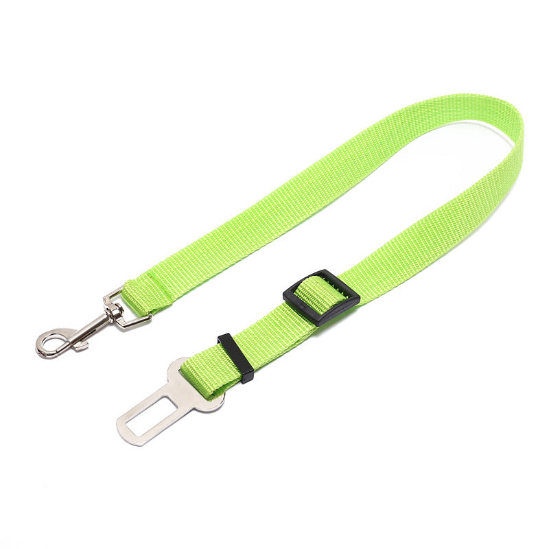 Fixed Dog Strap & Leash