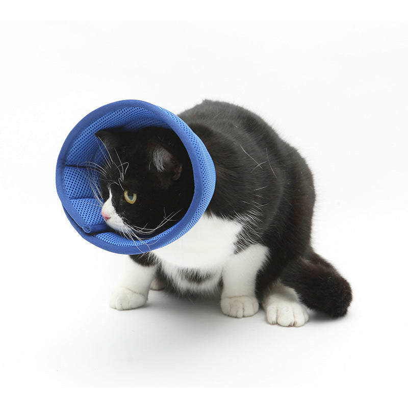 Dog Cat Anti-Bite & Medical Recovery  Protection Cover