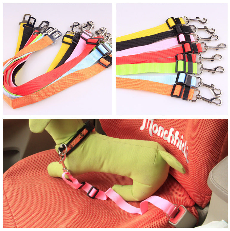 Fixed Dog Strap & Leash