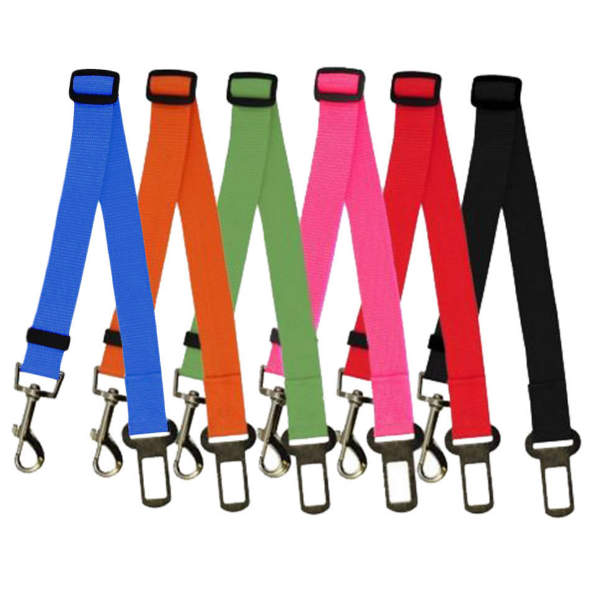 Fixed Dog Strap & Leash