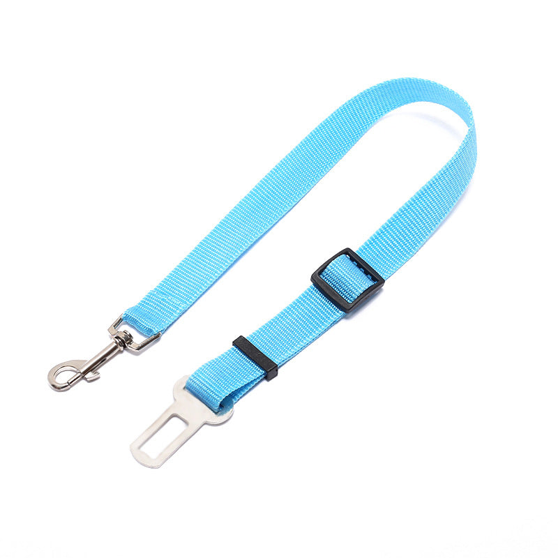 Fixed Dog Strap & Leash