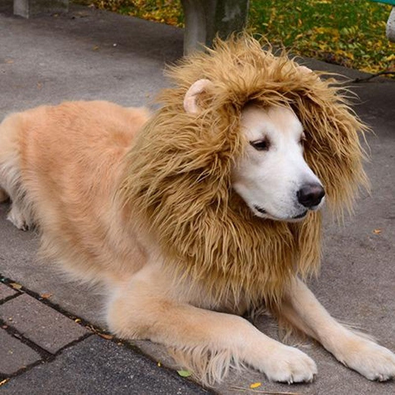 Cute Pet Cosplay Lion Clothe