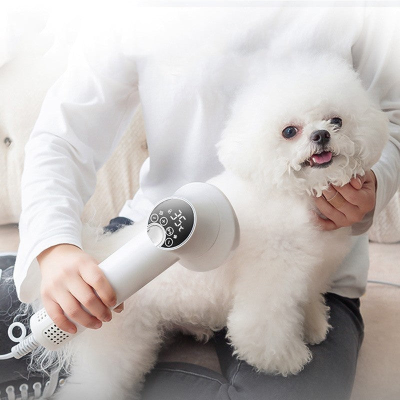 Silent and Smart Pet Hair Dryer for Dogs