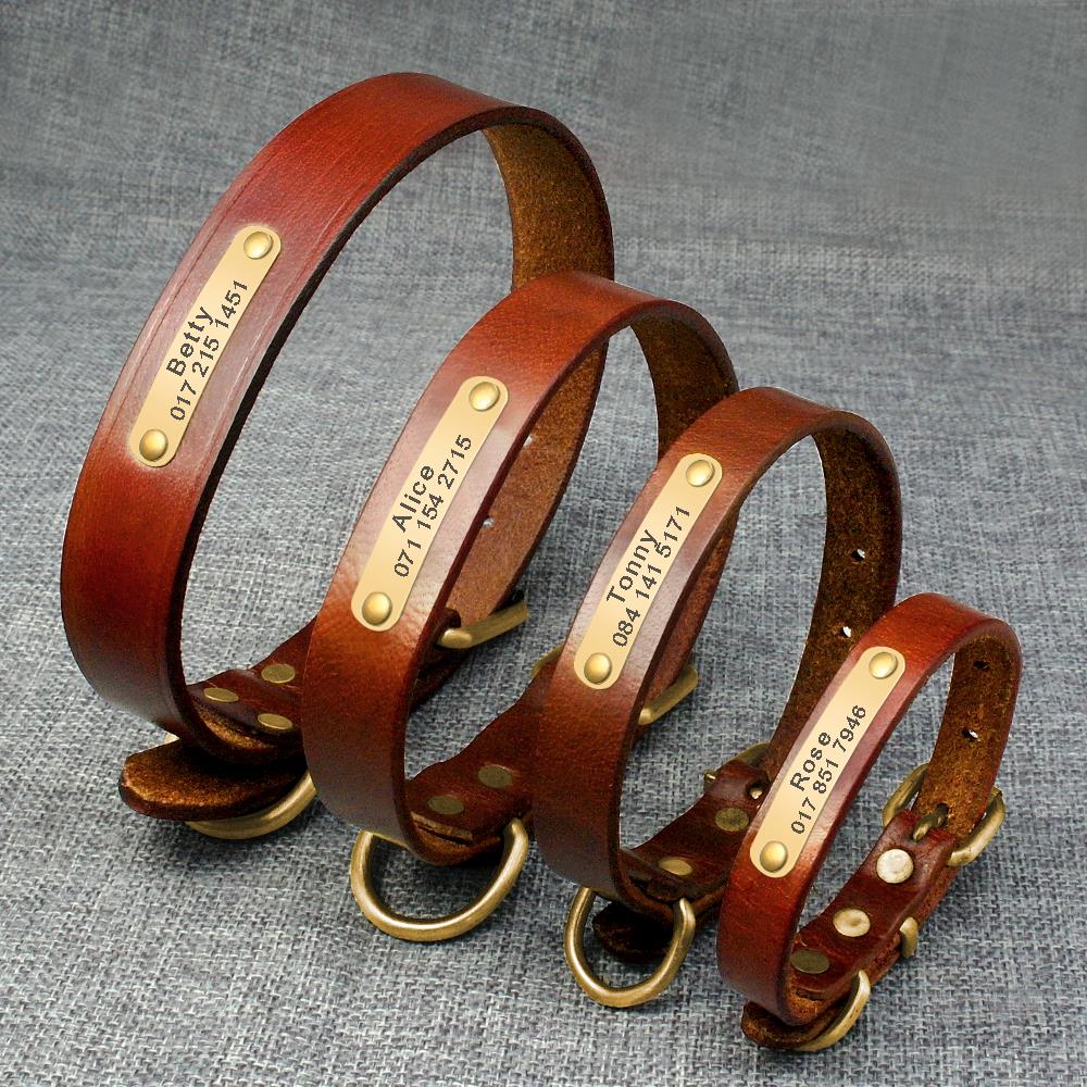 Customized Dog Collar