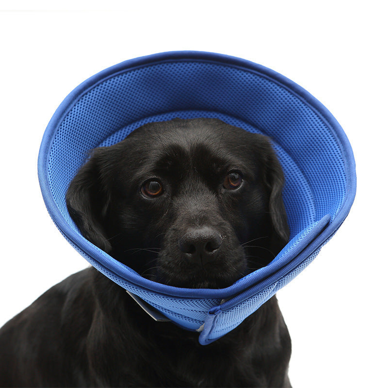 Dog Cat Anti-Bite & Medical Recovery  Protection Cover