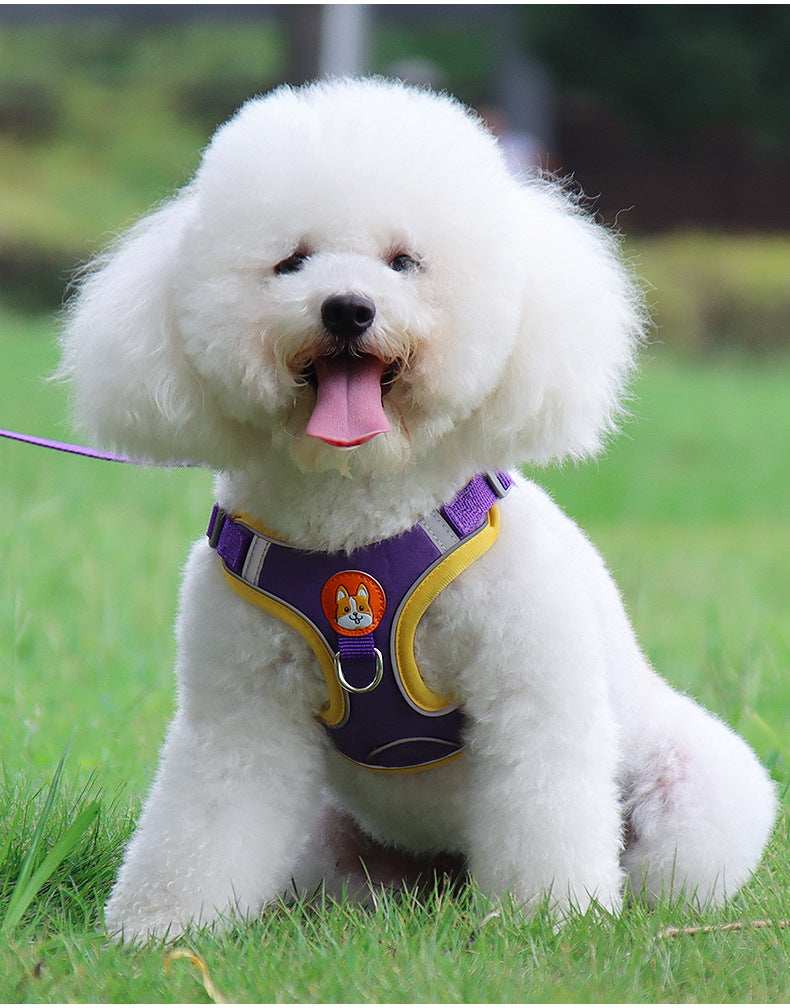 Dog & Cat Reflective Soft Mesh Harness with Leash