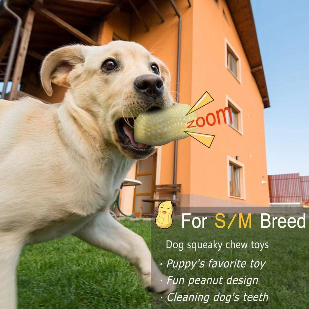 "Hilarious Squeaky Fun for Your Pet: Bite-Resistant Rubber Peanut Toy, Ideal for Small to Medium Dogs