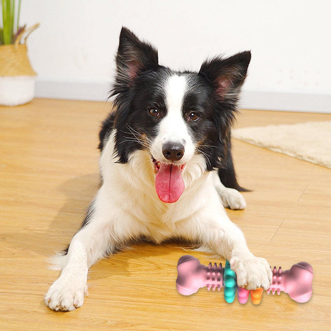 Bone-Shaped Indestructible TPR Dog Chew Toy