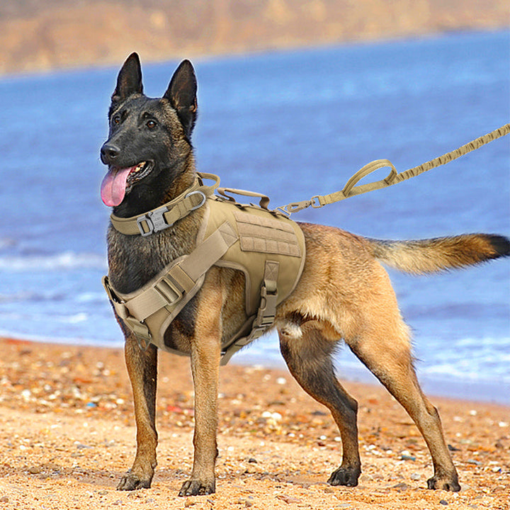 K9 Tactical Vest-Type Dog Collar for Optimal Control and Comfort