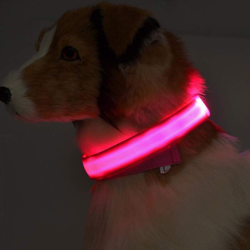 "Light Up the Night: Nylon LED Pet Collar for Purrfect Safety and Style!"